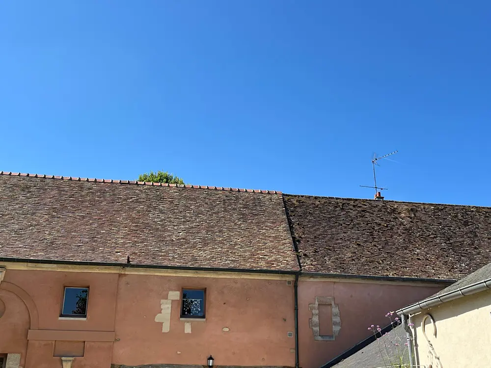 Démoussage toiture Maule 78580